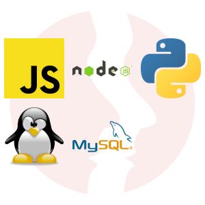Fullstack Software Engineer (JavaScript + Node.js) - główne technologie