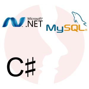 Developer .NET/SQL - główne technologie