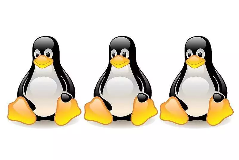 Systemy operacyjne - Rodzina Linux