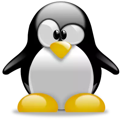 System operacyjny - Rodzina Linux