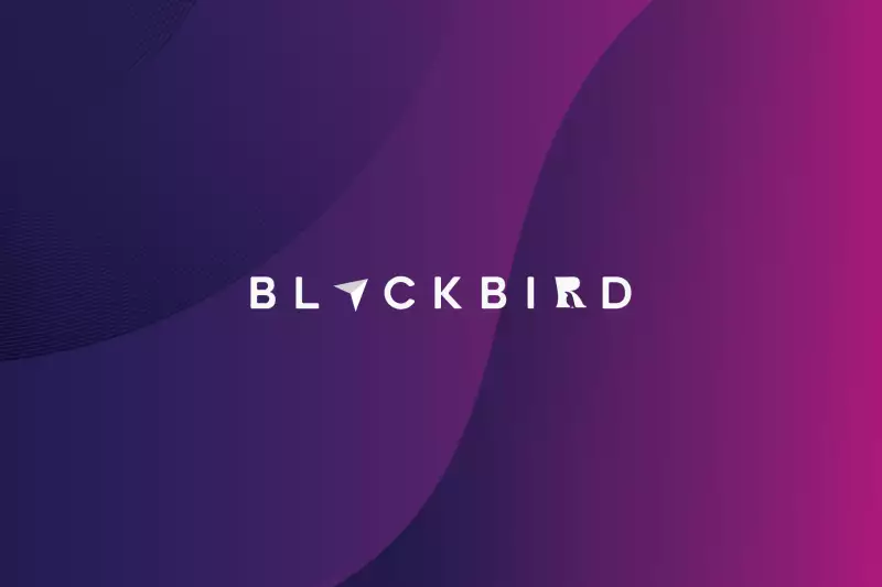 Netrunner 19.01 Blackbird – dystrybucja totalna dostępna w nowej wersji