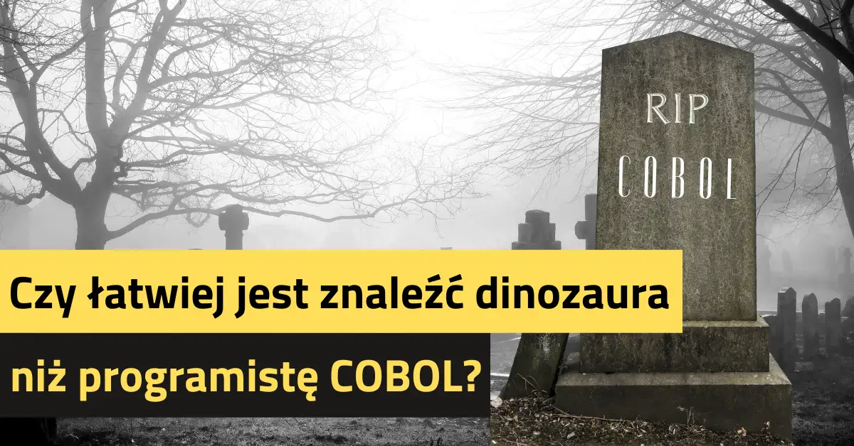 Ile zarobi COBOL Developer? Sprawdziliśmy.