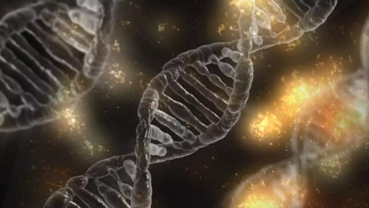 Konsumenckie testy DNA – rekordowa liczba chętnych do poznania swoich korzeni