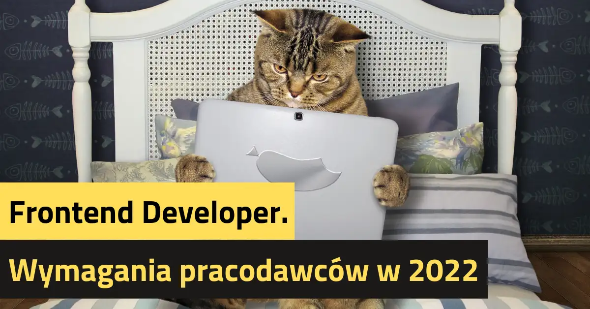 Frontend Developer. Wymagania pracodawców w 2022
