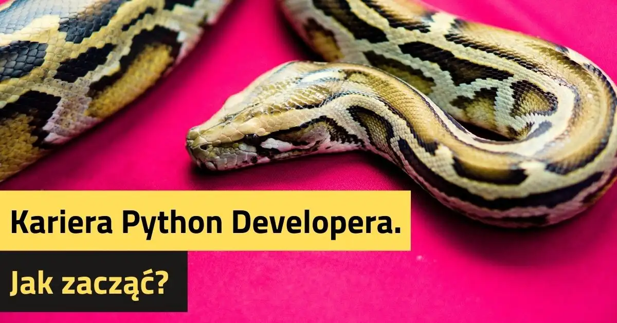 Kariera Python Developera. Jak zacząć?