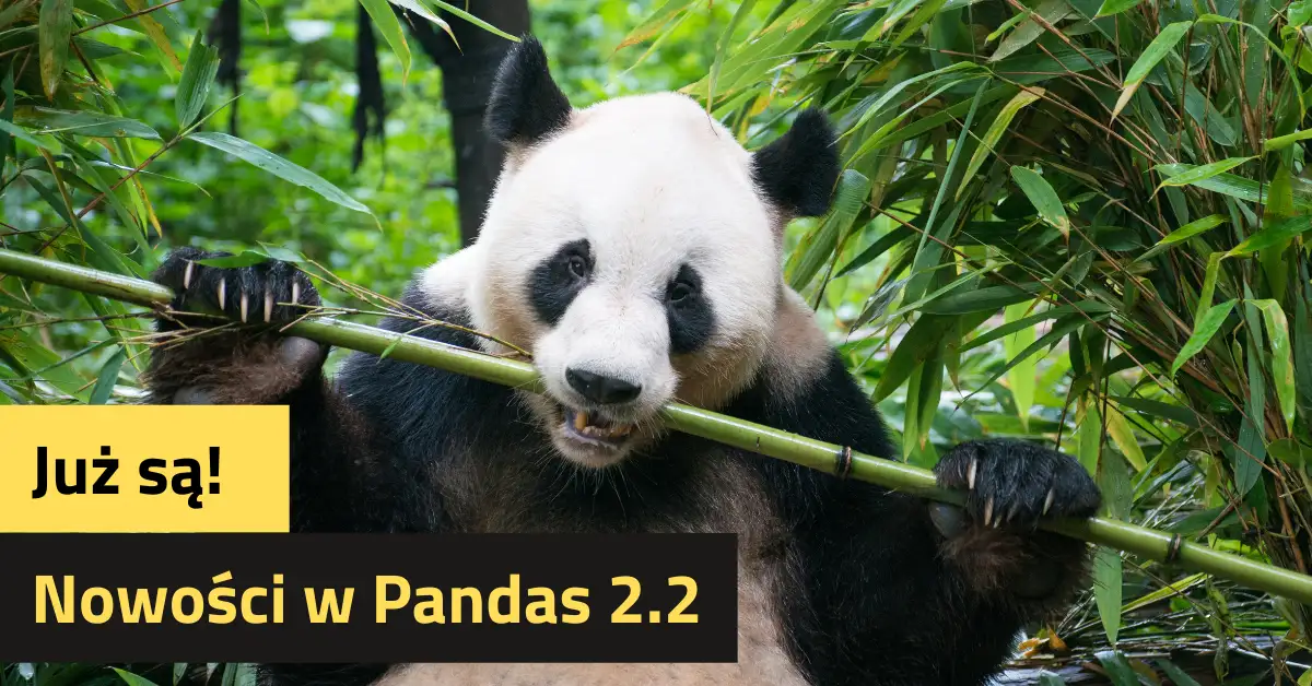 Już są! Nowości w Pandas 2.2