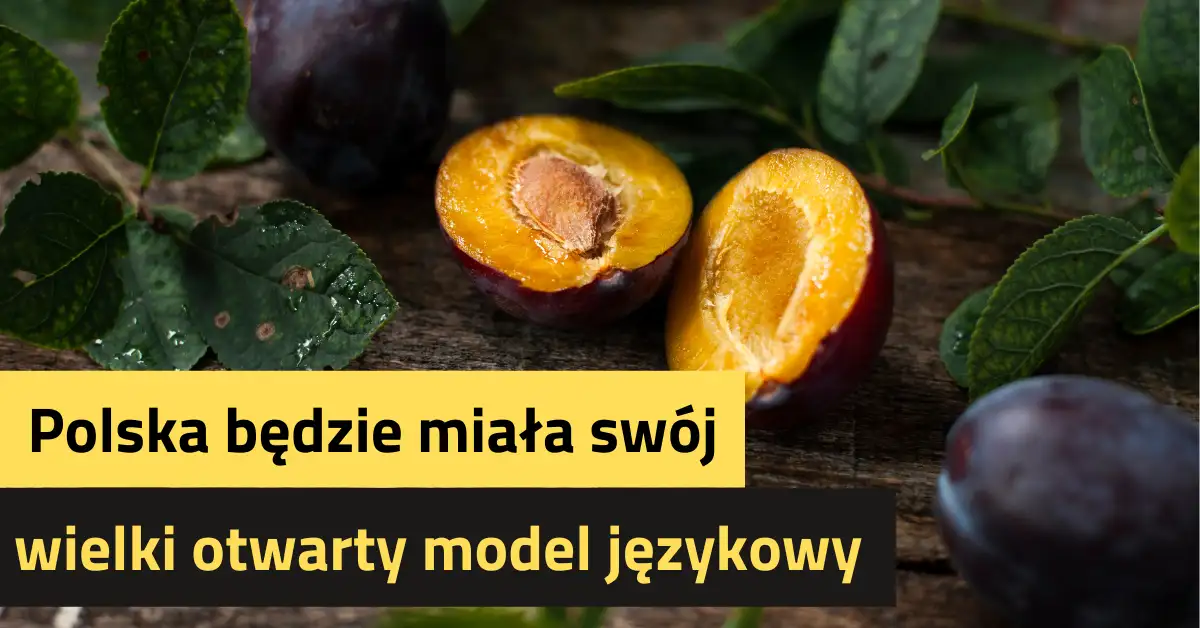Polska będzie miała swój wielki otwarty model językowy
