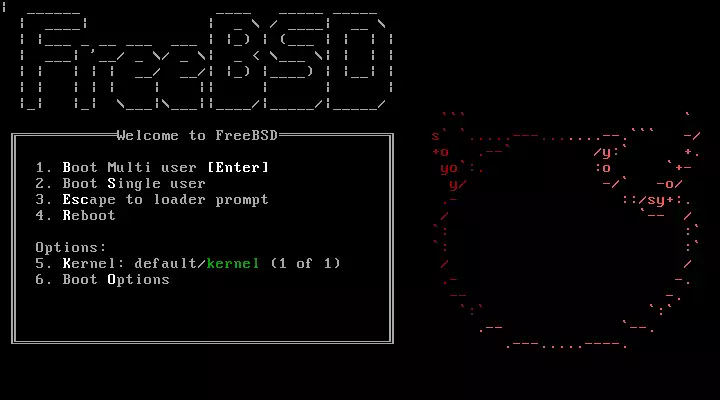 FreeBSD 12.0 dostępne – przyglądamy się najważniejszym nowościom