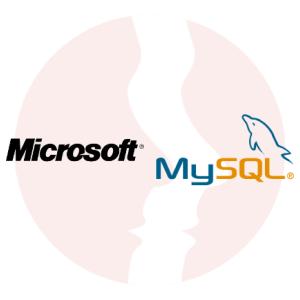 Database Developer - MS-SQL - główne technologie