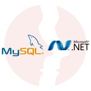 Fullstack .NET Developer - główne technologie