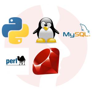 Administrator systemów Linux - główne technologie