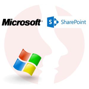 Regular Microsoft Engineer - główne technologie