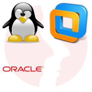 Administrator Systemów IT (Linux) - główne technologie