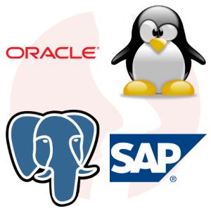 Python Developer (data engineering area) - główne technologie