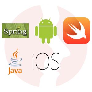 Mobile Fullstack Team Leader - główne technologie