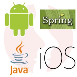 Fullstack Mobile Developer ( Kotlin, Java Backend) - główne technologie