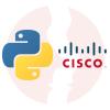 Network Architecture Expert - główne technologie