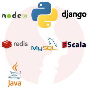 Developer Python and Java - Software - główne technologie