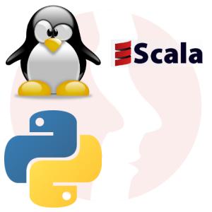 Big Data Software Developer - Scala, Akka, Mongodb - główne technologie