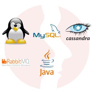 Administrator Systemów Linux - główne technologie
