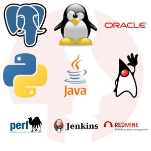 Administrator systemów Linux - Debian / Ubuntu - główne technologie