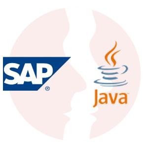 Programista języka ABAP - NetWeaver - główne technologie