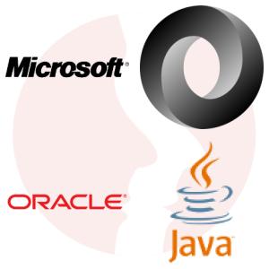 Database Administrator (SQL Server DBA) - główne technologie