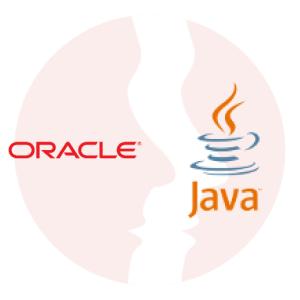 Developer Oracle BPM - główne technologie