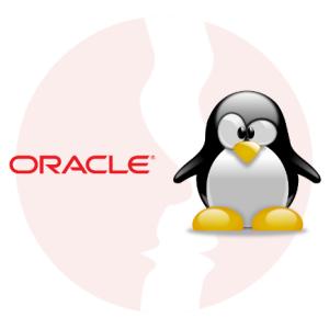 Oracle Database Administrator - główne technologie