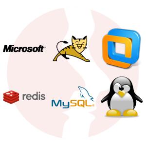 Administrator IT (Linux i Windows Server) - główne technologie