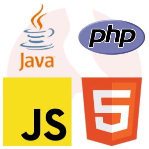 Programista .NET, Java lub PHP - główne technologie