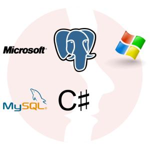 Programista .NET C# ze znajomością WinForms - główne technologie