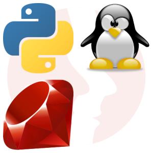Linux Engineer - Implementation Consultant - główne technologie