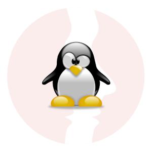 Linux System Engineer - główne technologie