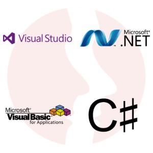 Visual Basic .NET Developer - główne technologie
