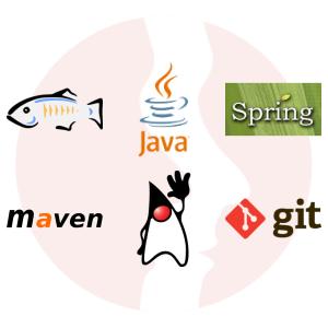 Java Developer ze znajomością frameworka Vaadin - główne technologie