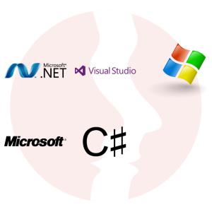 Programista Microsoft .NET Framework - główne technologie