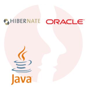 Java Software Developer - główne technologie