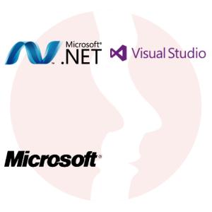 Software Developer (C# .NET) - główne technologie
