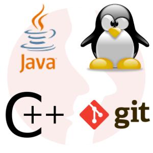 Java SE Software Developer - główne technologie