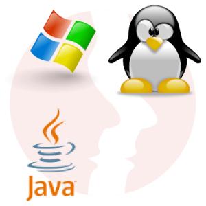 Projektant T-SQL ze znajomością Java - główne technologie