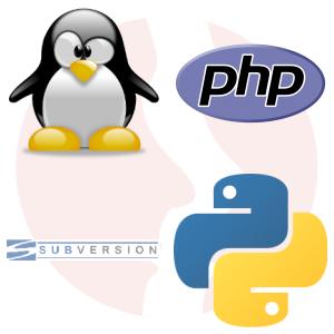 Programista PHP (platforma Shopware) - główne technologie