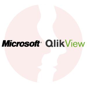 Developer / Konsultant systemu analiz biznesowych QlikView - główne technologie