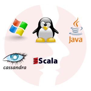 Mid/Senior Java Developer z REST API - główne technologie