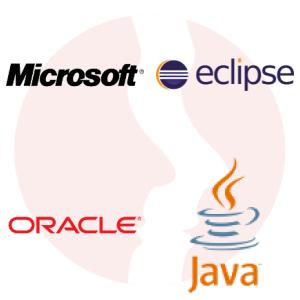 Application Support Engineer z doświadczeniem w programowaniu (JAVA - Eclipse) - główne technologie