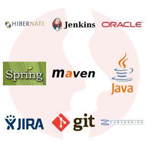 Mid/Senior Java Developer (Java 8, JSF 2) B2B 90 PLN/H - główne technologie