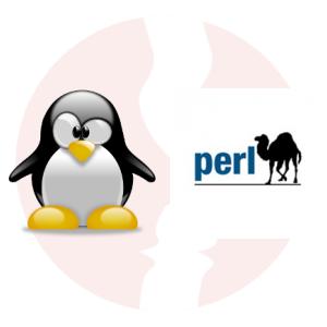Specjalista od integracji ze znajomością języka Perl - główne technologie