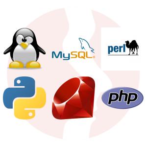 Programista Perl i baza MySQL - główne technologie