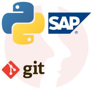 Python Developer (with experience in BI) - główne technologie