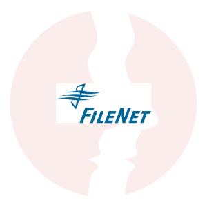 FileNet Consultant - główne technologie